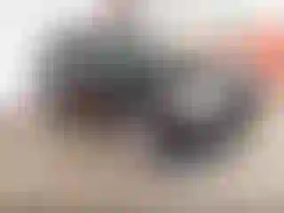Vehicle Image- 2010 Ford Escape