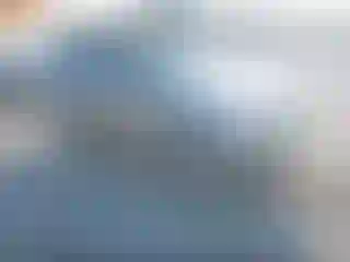 Vehicle Image- 2010 Ford Escape