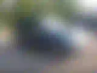 Vehicle Image- 2011 Ford Escape