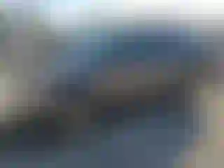 Vehicle Image- 2010 Ford Escape