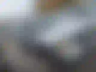 Vehicle Image- 2011 Ford Escape