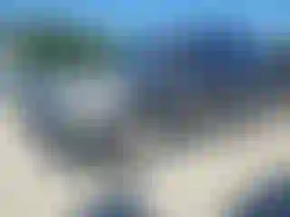 Vehicle Image- 2011 Ford Escape
