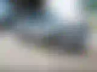 Vehicle Image- 2012 Ford Escape