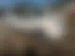 Vehicle Image- 2011 Ford Escape