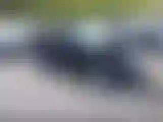Vehicle Image- 2012 Ford Escape