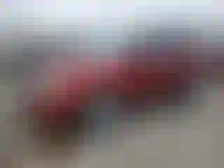 Vehicle Image- 2012 Ford Escape