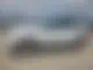 Vehicle Image- 2010 Ford Escape