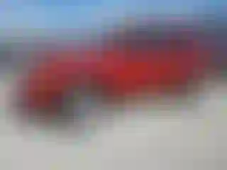 Vehicle Image- 2011 Ford Escape