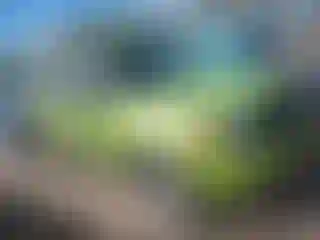 Vehicle Image- 2011 Ford Escape