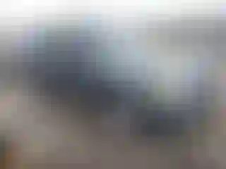 Vehicle Image- 2010 Ford Escape