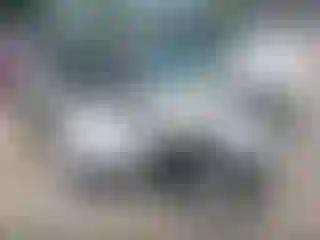 Vehicle Image- 2010 Ford Escape