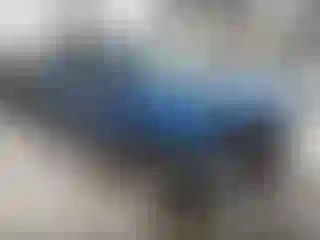 Vehicle Image- 2011 Ford Escape