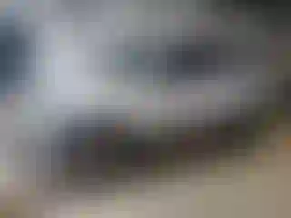 Vehicle Image- 2012 Ford Escape