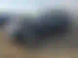 Vehicle Image- 2011 Ford Escape