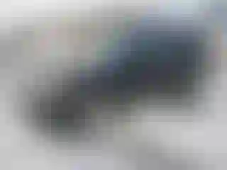 Vehicle Image- 2011 Ford Escape