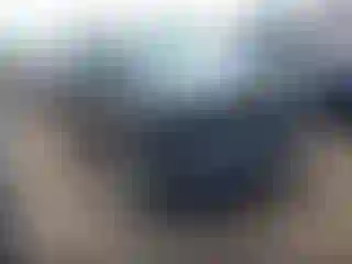 Vehicle Image- 2011 Ford Escape