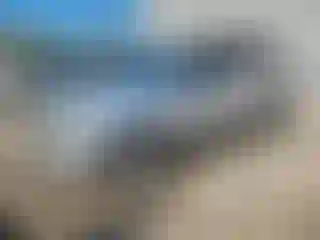 Vehicle Image- 2011 Ford Escape