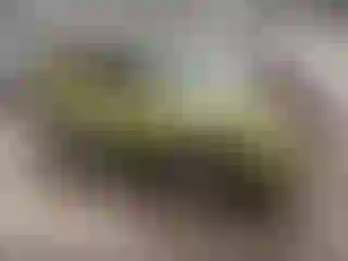 Vehicle Image- 2012 Ford Escape