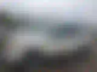 Vehicle Image- 2010 Ford Escape