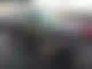 Vehicle Image- 2010 Ford Escape