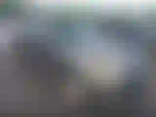 Vehicle Image- 2011 Ford Escape