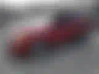 Vehicle Image- 2011 Ford Escape