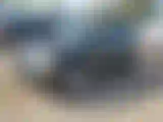 Vehicle Image- 2011 Ford Escape