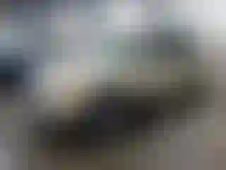 Vehicle Image- 2010 Ford Escape
