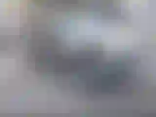 Vehicle Image- 2010 Ford Escape