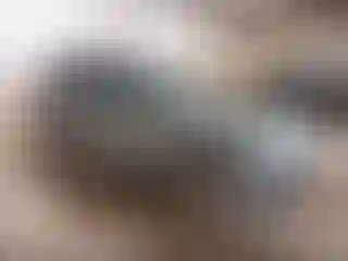 Vehicle Image- 2010 Ford Escape