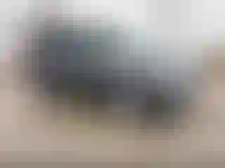 Vehicle Image- 2011 Ford Escape
