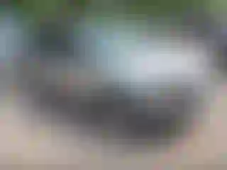Vehicle Image- 2010 Ford Escape