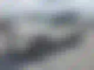 Vehicle Image- 2010 Ford Escape