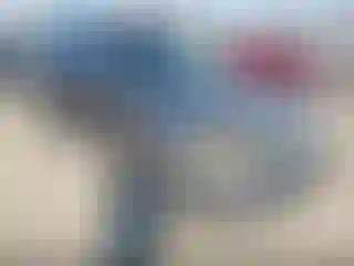 Vehicle Image- 2010 Ford Escape
