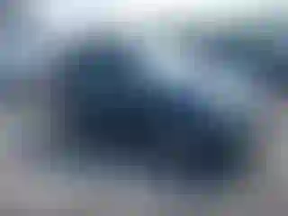 Vehicle Image- 2010 Ford Escape