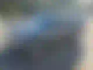 Vehicle Image- 2011 Ford Escape