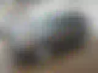 Vehicle Image- 2011 Ford Escape