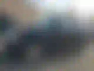Vehicle Image- 2010 Ford Escape