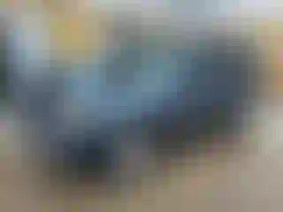 Vehicle Image- 2011 Ford Escape