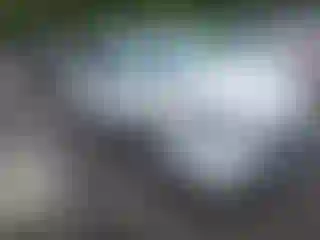 Vehicle Image- 2022 Ford Escape