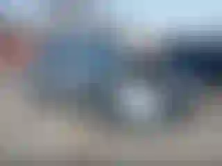 Vehicle Image- 2020 Ford Escape