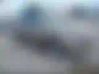 Vehicle Image- 2021 Ford Escape