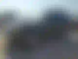 Vehicle Image- 2010 Ford Escape
