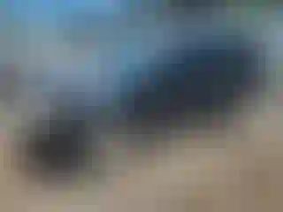 Vehicle Image- 2010 Ford Escape