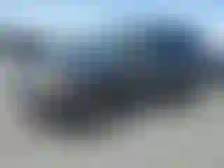 Vehicle Image- 2012 Ford Escape