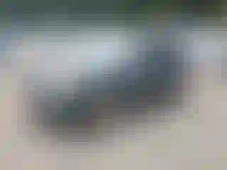 Vehicle Image- 2012 Ford Escape