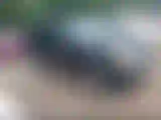 Vehicle Image- 2010 Ford Escape