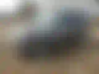 Vehicle Image- 2010 Ford Escape