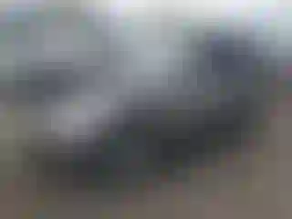 Vehicle Image- 2010 Ford Escape