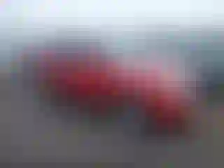 Vehicle Image- 2011 Ford Escape